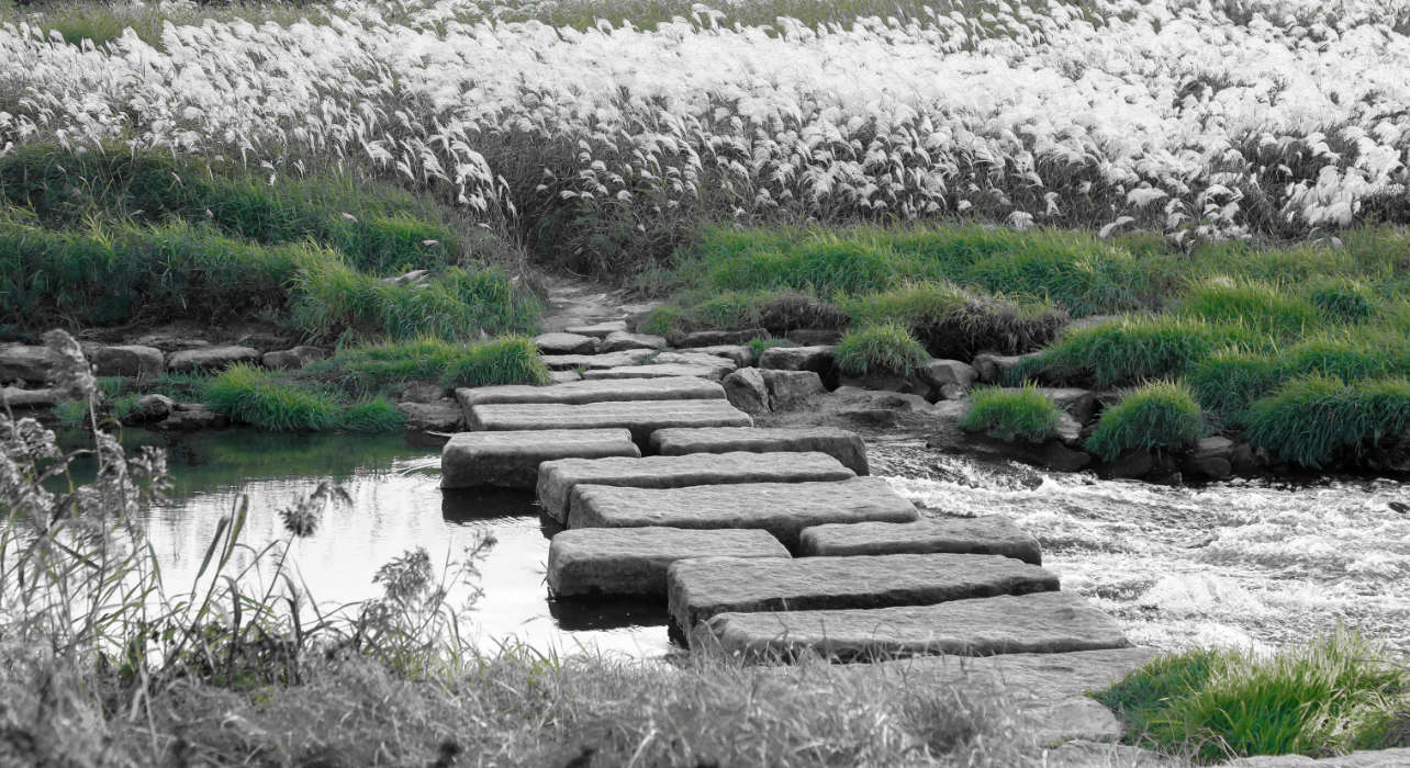 In Feldern versteckte Furt in Rheinhessen